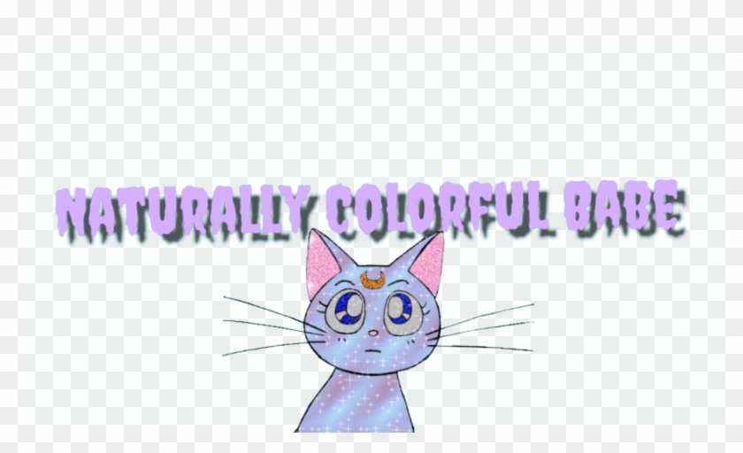 Naturally Colorful Babes - Domestic Short-haired Cat Clipart