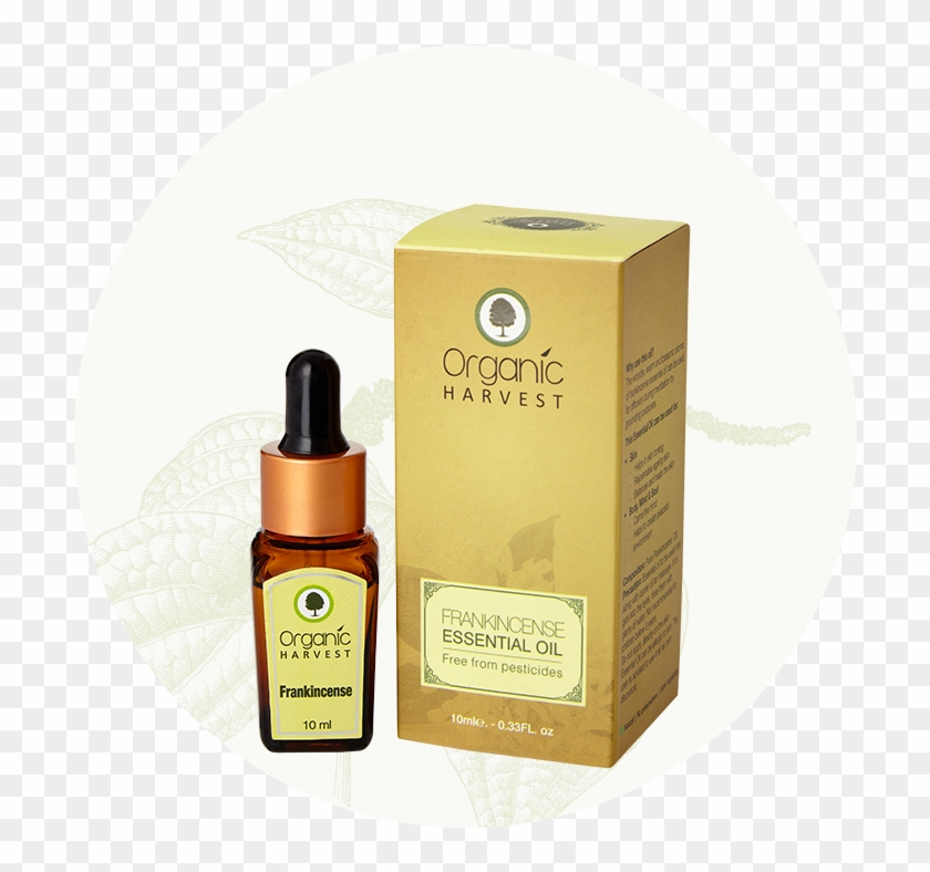 Frankincense Essential Oil - Cosmetics Clipart #4765426