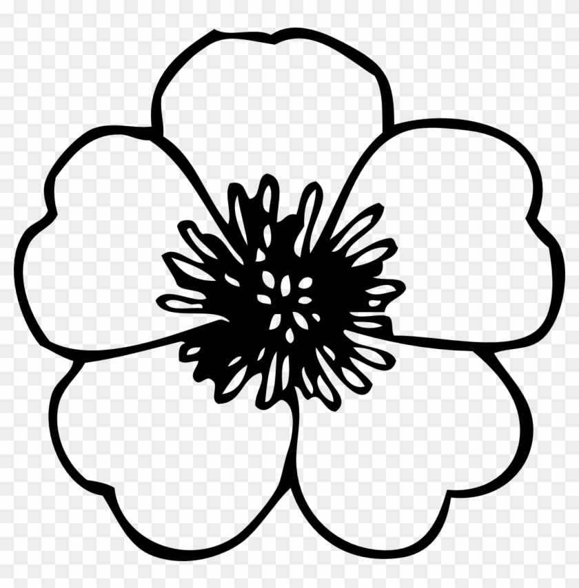 Simple Flower Clipart Black And White - Flower Clipart Black And White - Png Download