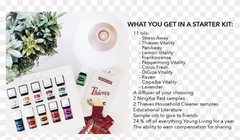 Ec Eopage 3 - Jasmine Clipart