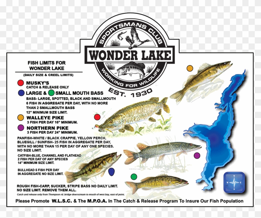 Fish-chart - Wonder Lake Fishing Clipart
