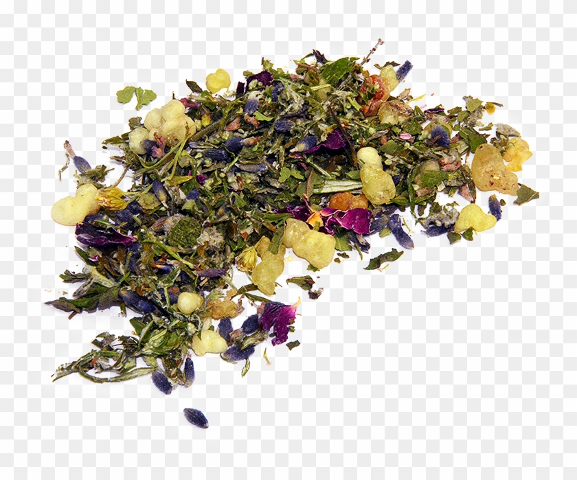 Garden Roses Clipart