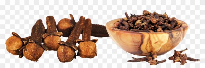 Cloves - लौंग Clipart