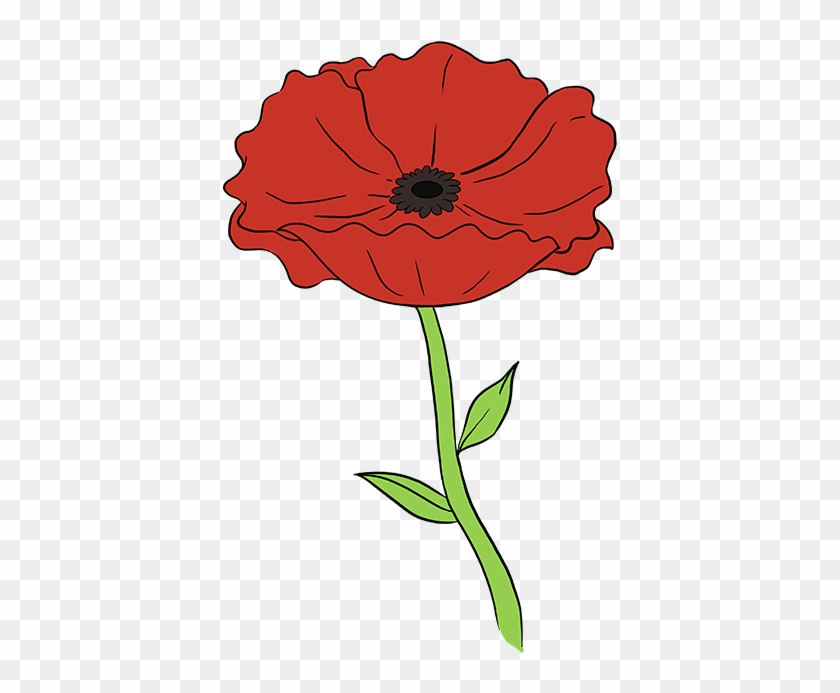 Stem Drawing Poppy Clipart