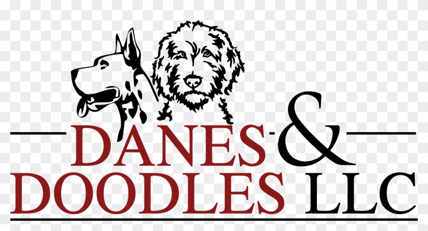 Goldendoodle Png Clipart #4769122