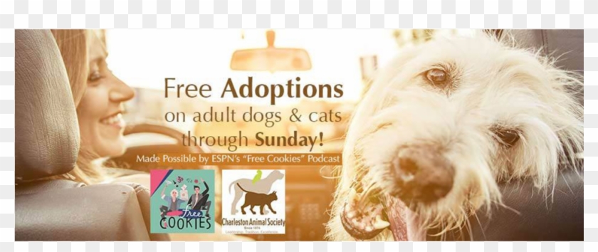 Facebook Ad For Pets Clipart #4769321