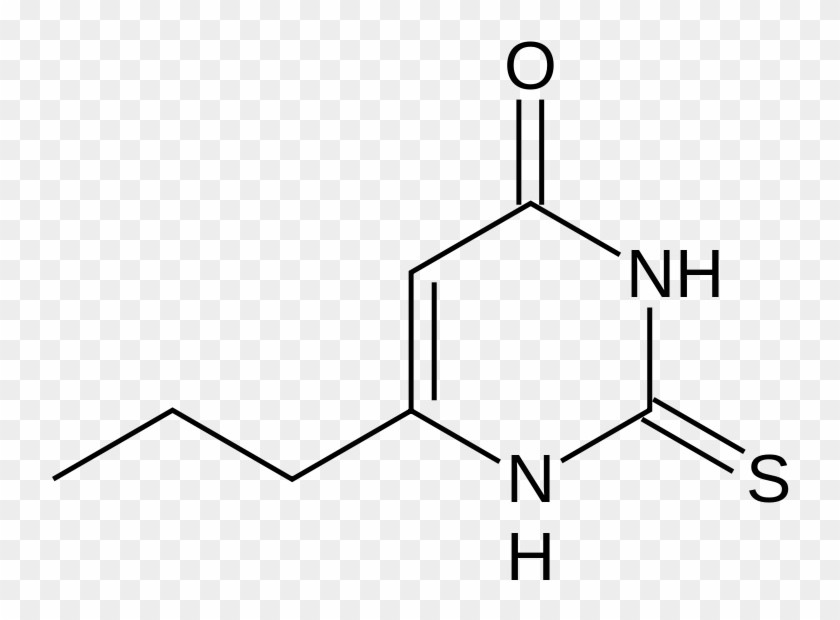 Org, Propylthiouracil Drug Lable - Chemical Structure Of Thymine Clipart #4771105