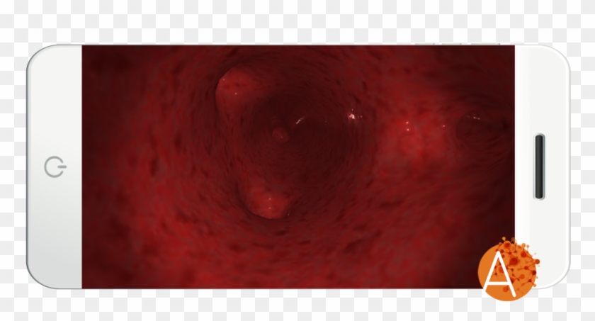 Anatomyou Vr - Jack-o'-lantern Clipart