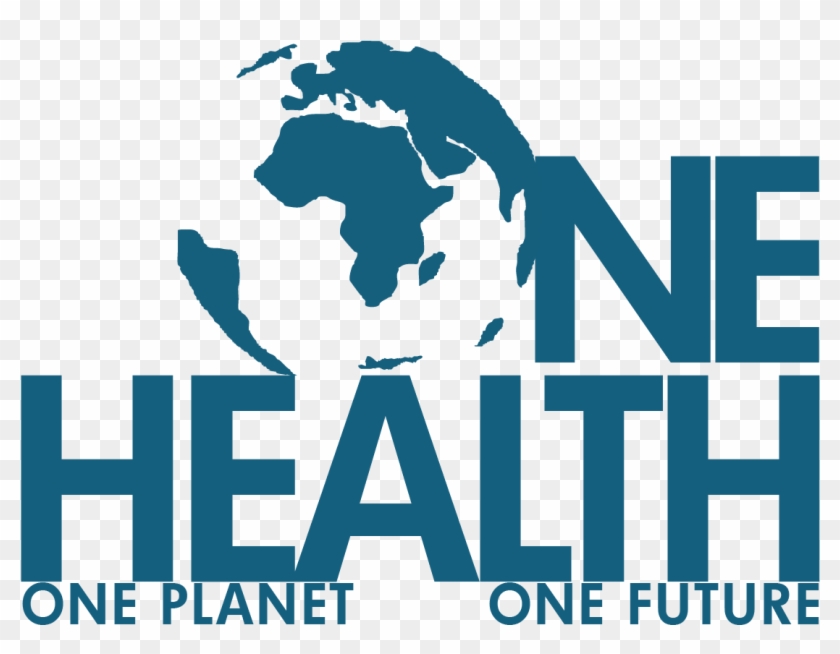 Health Issues Blog Circulatory And Respiratory System - Prevent Respiratory And Circulatory System Diseases Clipart #4772117