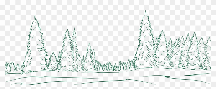 Evergreen Snow Capped Transparent Png Clipart Free Bosque De Pinos Dibujo 4772252 Pikpng