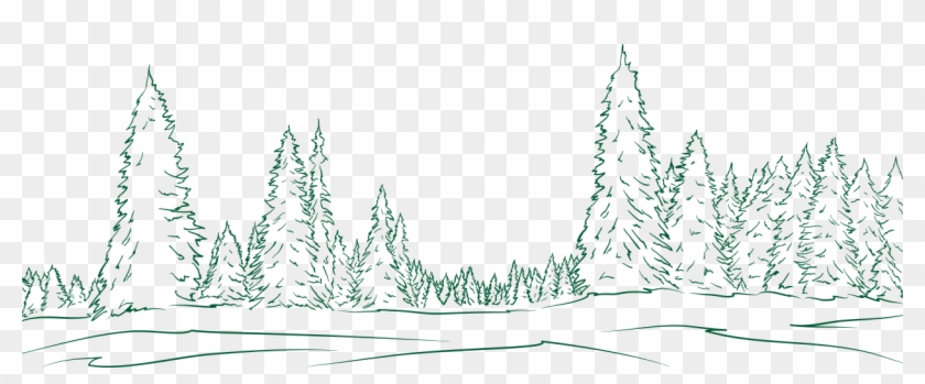 Evergreen Snow Capped Transparent & Png Clipart Free - Bosque De Pinos Dibujo #4772252