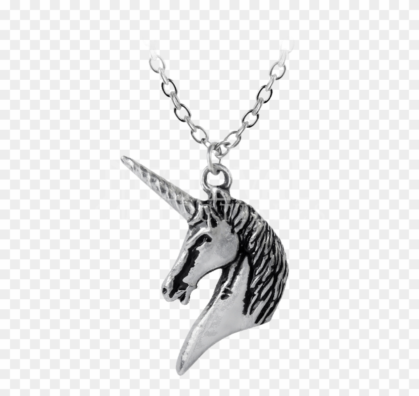 Unicorn Ogrlica Clipart