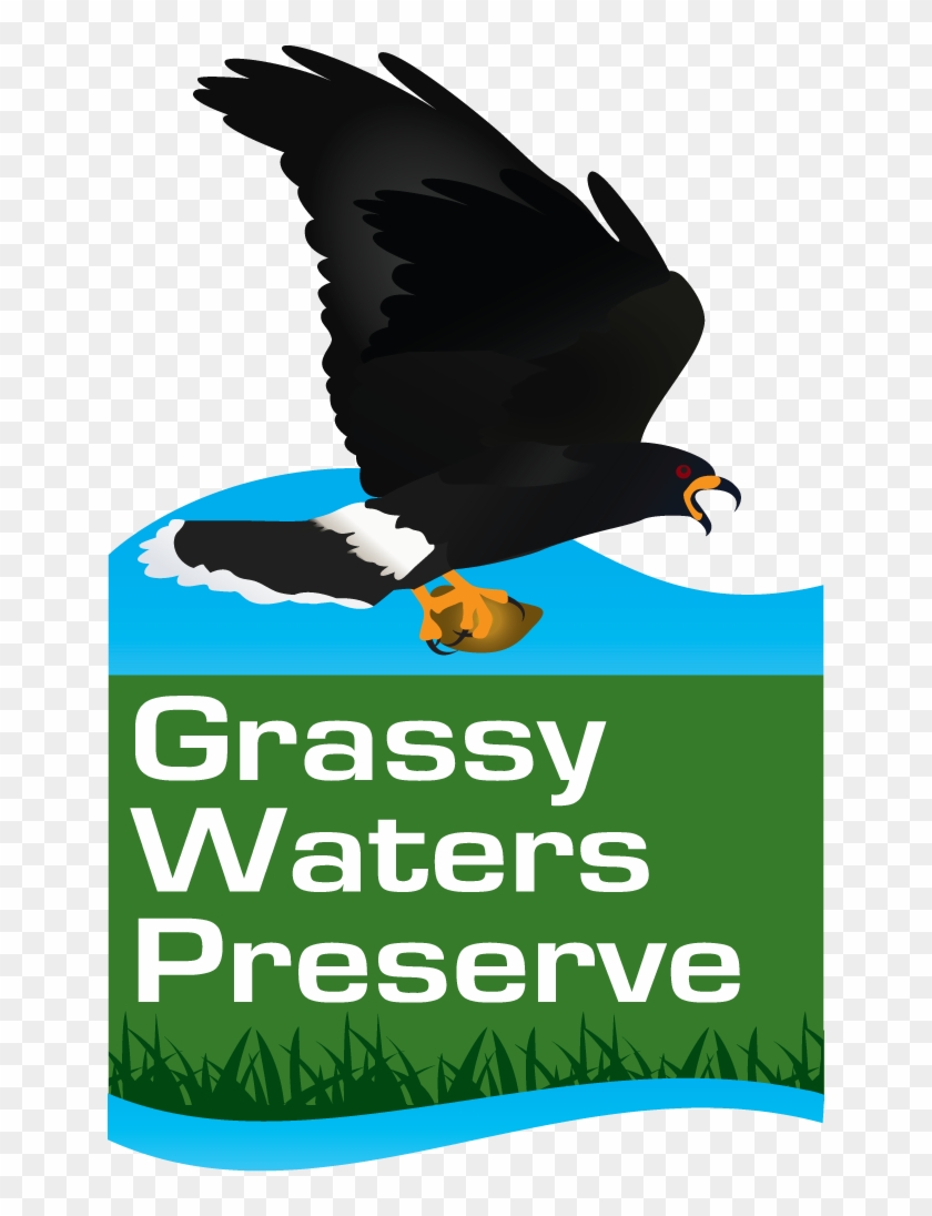 Cypress Boardwalk Trail - Grassy Waters Preserve Logo Clipart #4772415