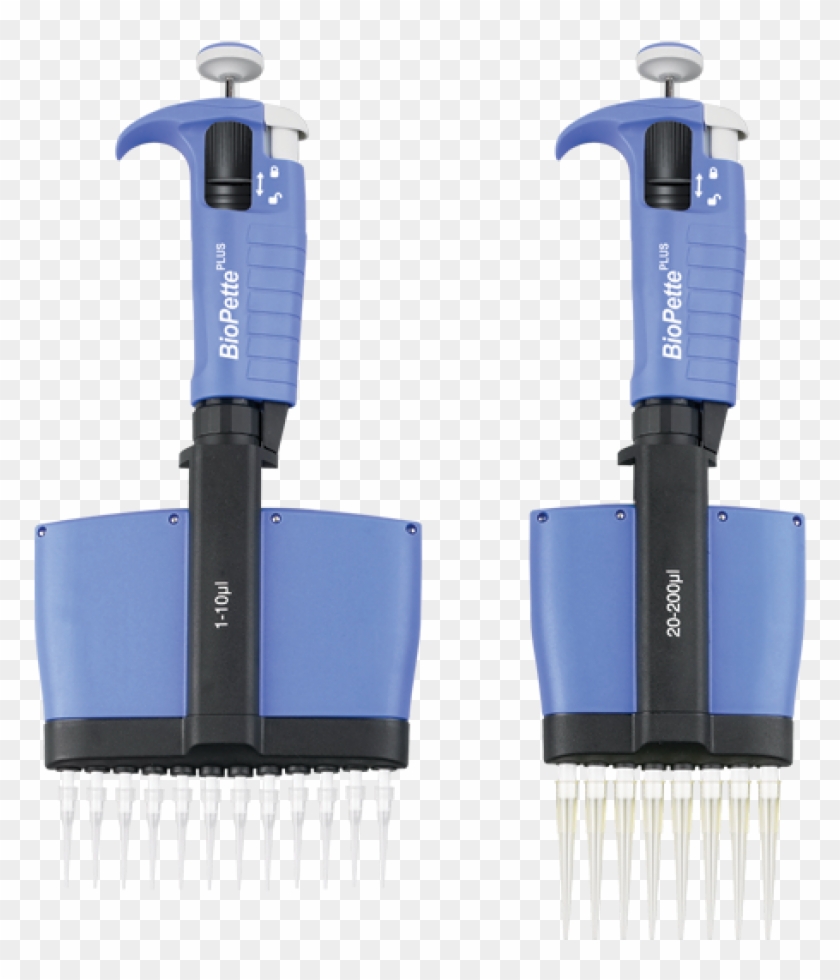 Labnet Multichannel Pipette Clipart