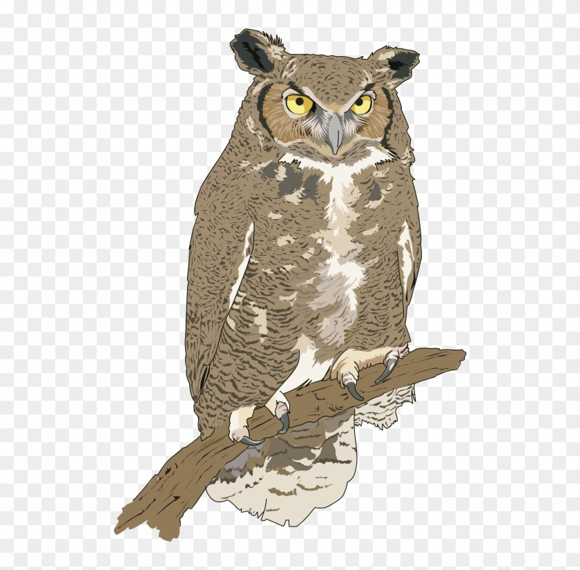 Cut Clipart - Realistic Owl Clip Art - Png Download #4774779