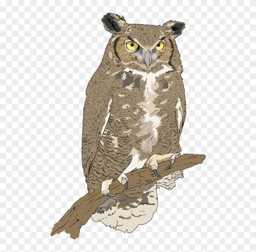 Cut Clipart - Realistic Owl Clip Art - Png Download