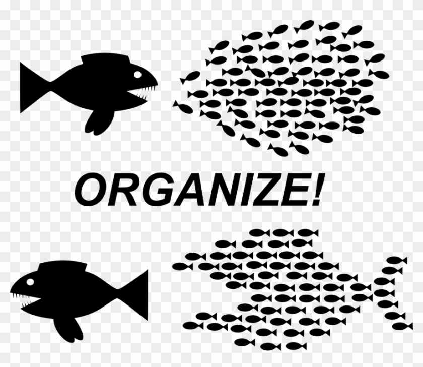 Organization Teamwork Fish Organize Revolution - Organize Fish Clipart