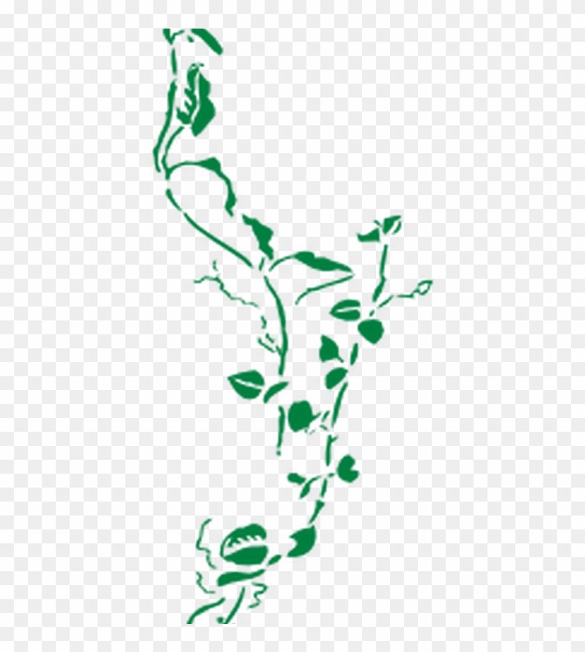 Green Vine Border Clip Art At Clkercom Vector Clip - Vine Border Transparent Background - Png Download #4777048