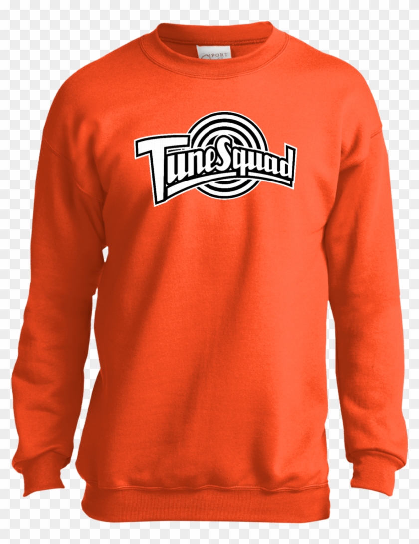 Tune Squad Black Youth Sweatshirt Sweatshirts - Houston Astros Hoodie Png Clipart #4777196