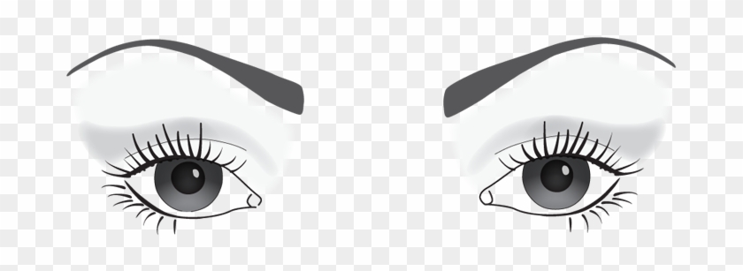 Drawing Eyelashes Eyelid - Eyelash Extensions Clipart