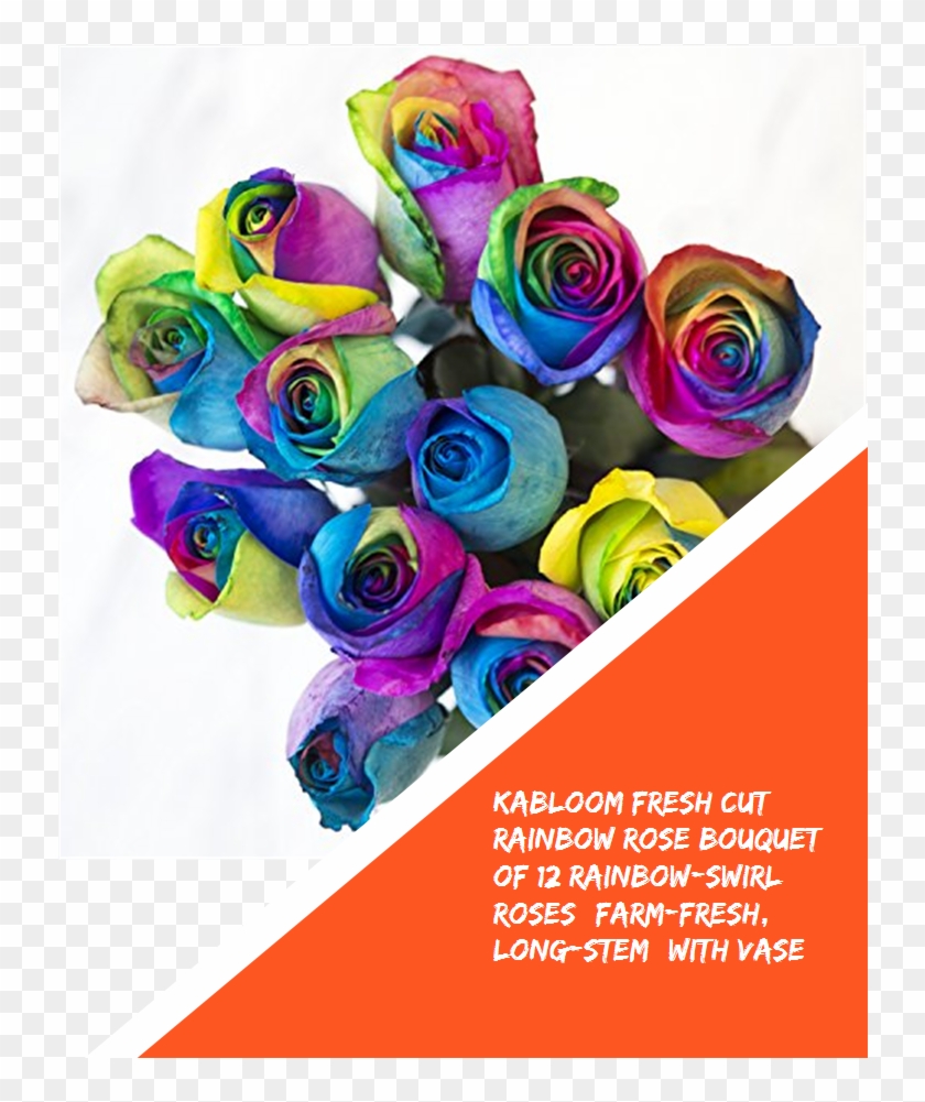 Kabloom Fresh Cut Rainbow Rose Bouquet Of 12 Rainbow - Rainbow Rose Clipart #4779243