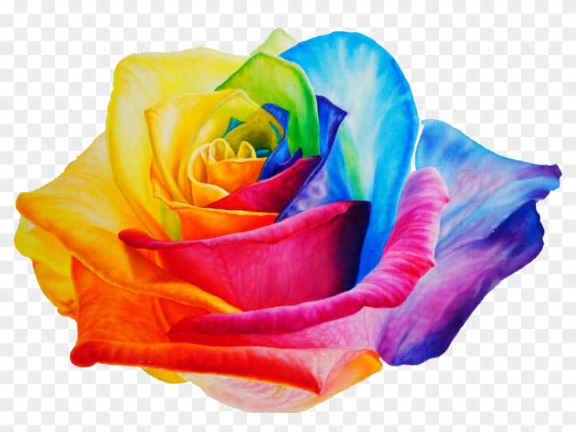 Rose - Garden Roses Clipart #4779266