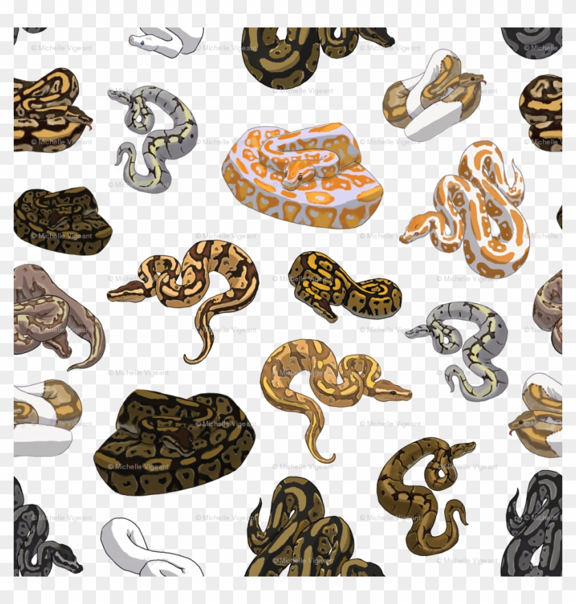 Ball Python Morph Pattern Transparent Wallpaper - Ball Python Pattern Morph Clipart #4781820