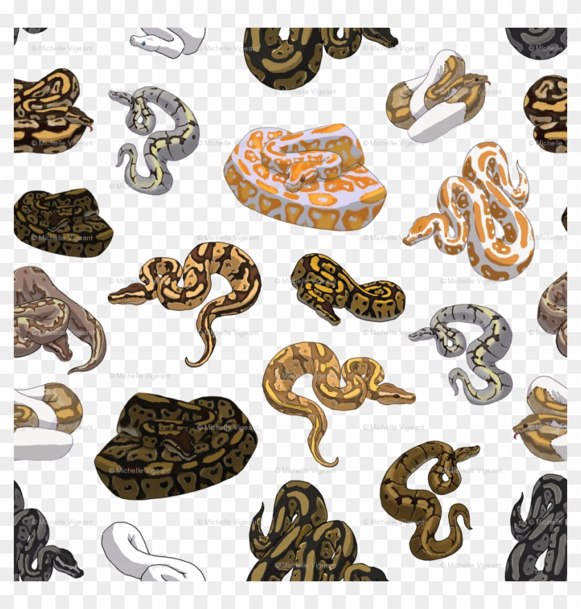 Ball Python Morph Pattern Transparent Wallpaper - Ball Python Pattern Morph Clipart