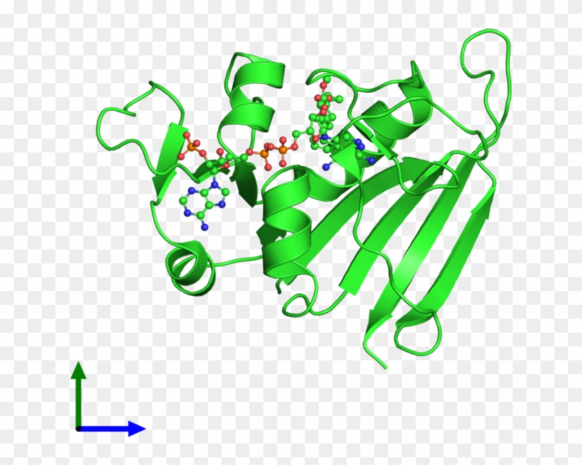 Motif Bio To Submit Nda For Iclaprim - Graphic Design Clipart