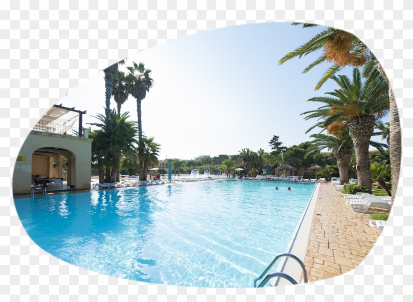 Pool Semi-olympic Of Sporting Club Village - Swimming Pool Clipart