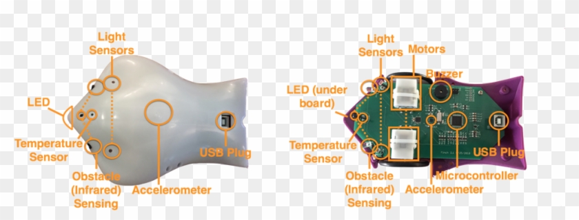The Picture Below Shows The Features Of The Finch Robot - Pillow Clipart