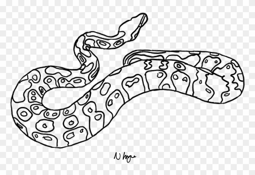Ball At Getdrawings Com Free For Personal - Line Drawing Of Python Clipart