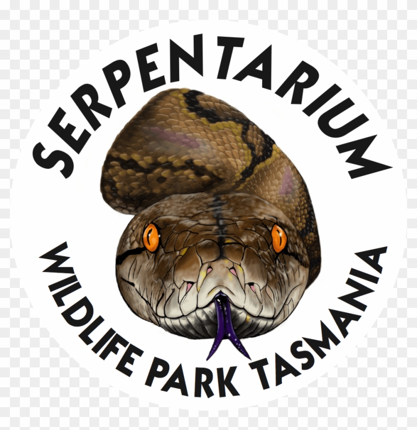 Oceanic Research Centre Australia Clipart #4785538