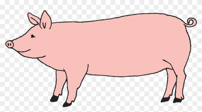 Domestic Pig Clipart #4786889