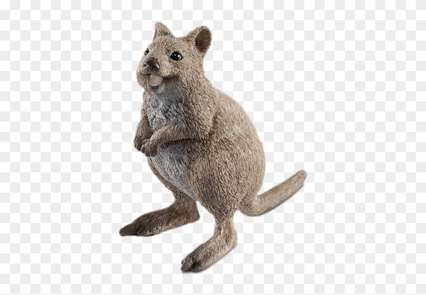 Download - Schleich 2019 Clipart