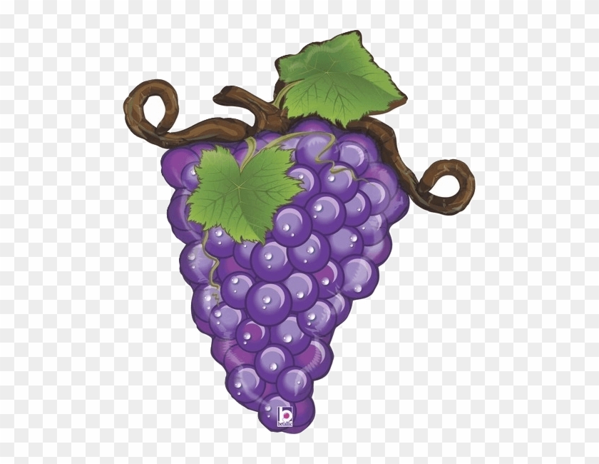 Grapes Purple Clipart #4788648