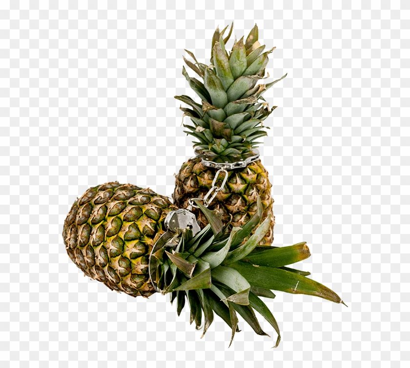 Ananas - Pineapple Clipart