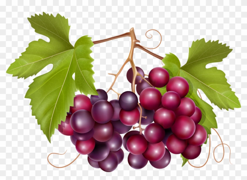 Pin By Jadwiga - Grape Design Clipart #4789136