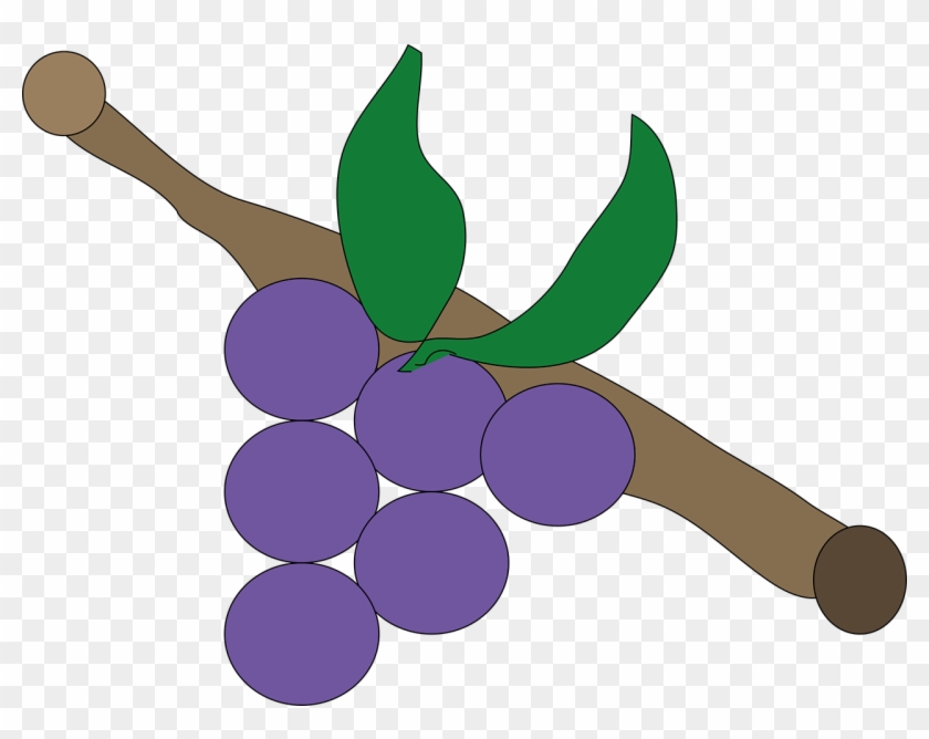 Grape Lila Purple - Üzüm Çizimi Clipart #4789275