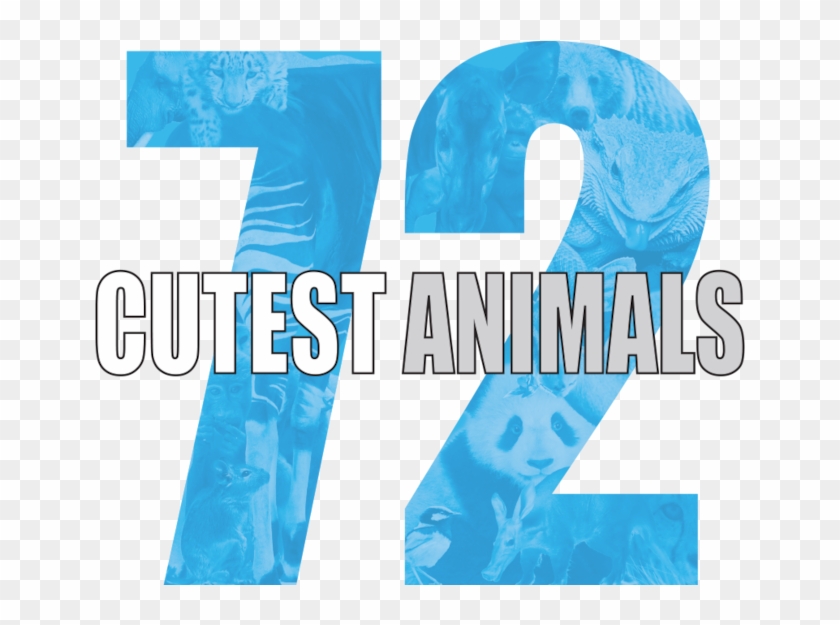 72 Cutest Animals - Graphic Design Clipart