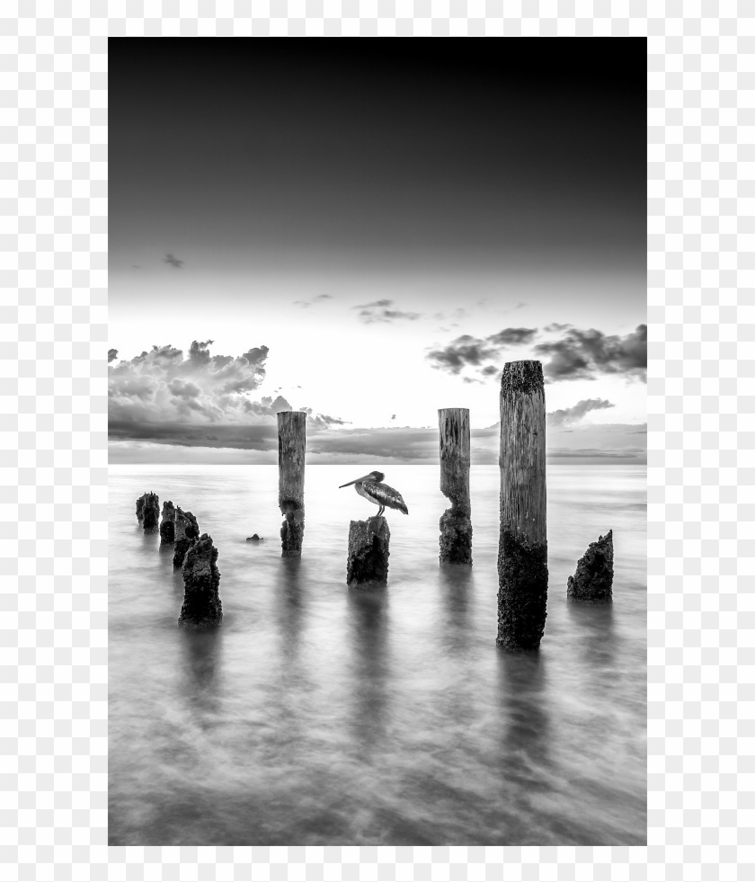 The Shop - Monochrome Clipart