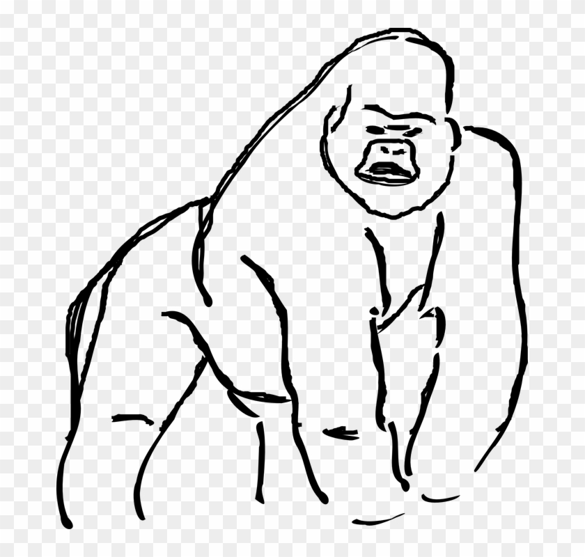 Gorilla Line Art Clipart #4791486