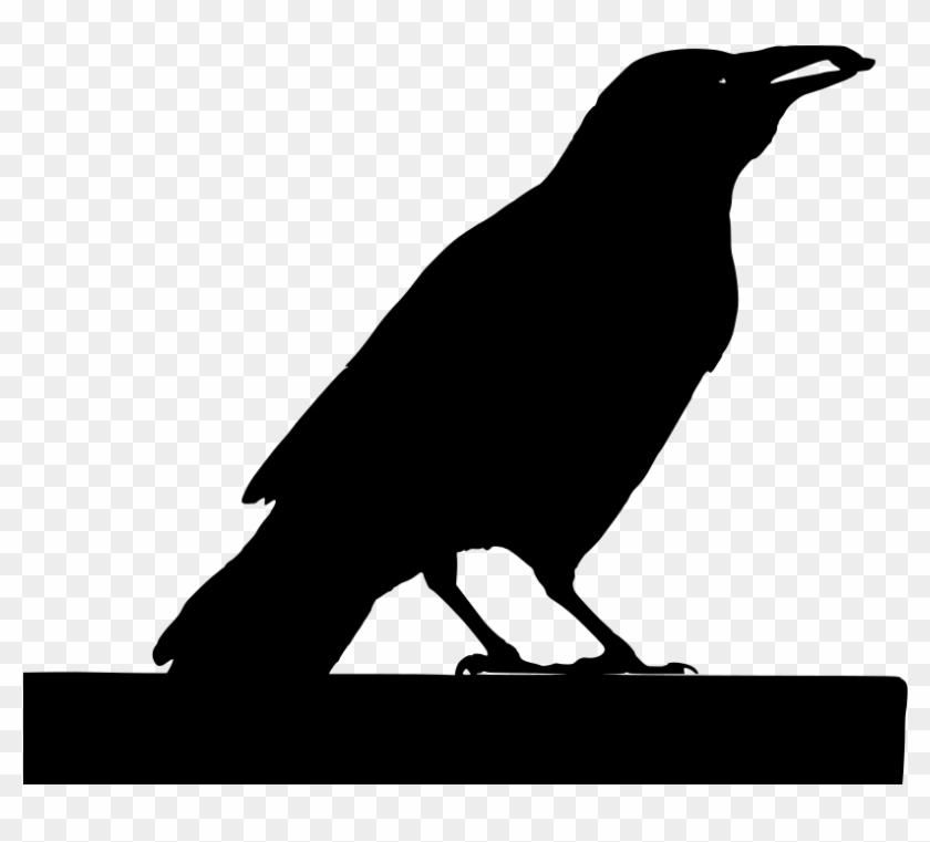 Download Png - Crow Clipart #4792132