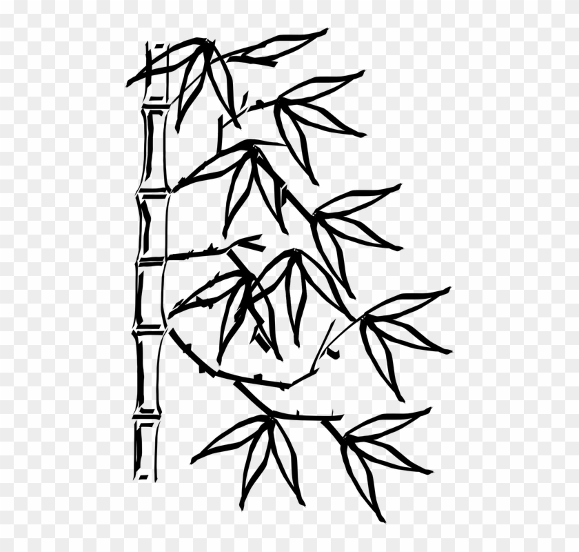 Bamboo Plant Leaves Chinese - Bamboo Black And White Clipart