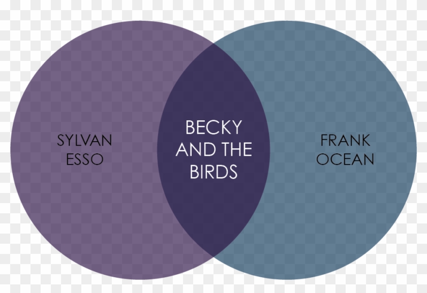 If Sylvan Esso And Frank - Circle Clipart