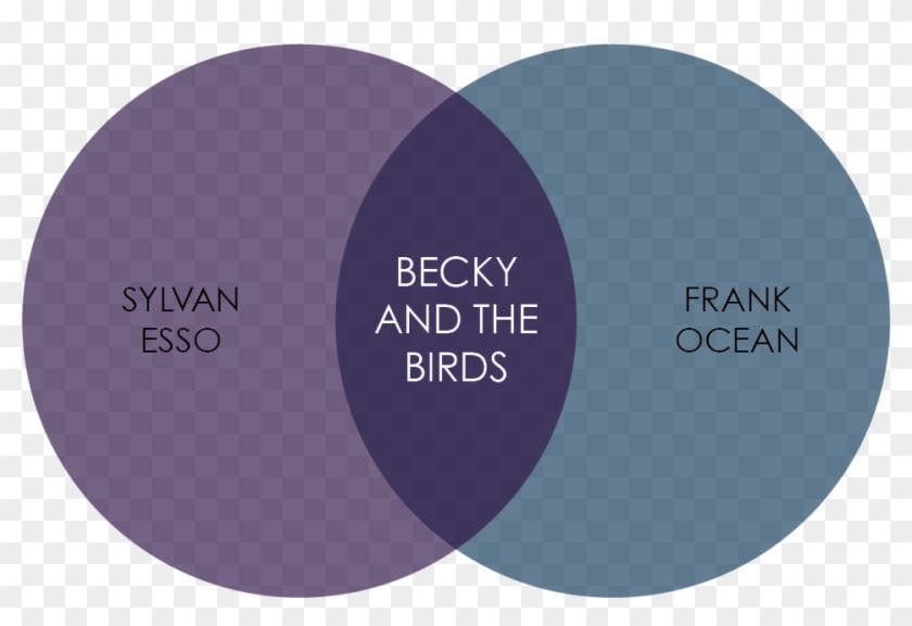 If Sylvan Esso And Frank - Circle Clipart #4793529