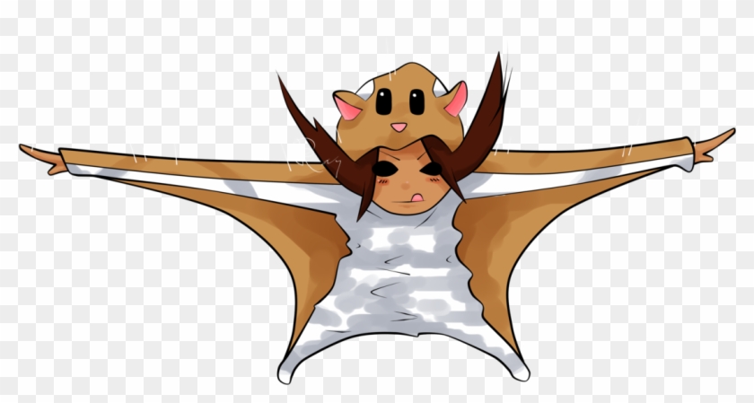 Cute Cartoon Flying Squirrel - Cartoon Clipart #4794065