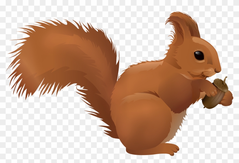 View Full Size - Fox Squirrel Clipart #4794217