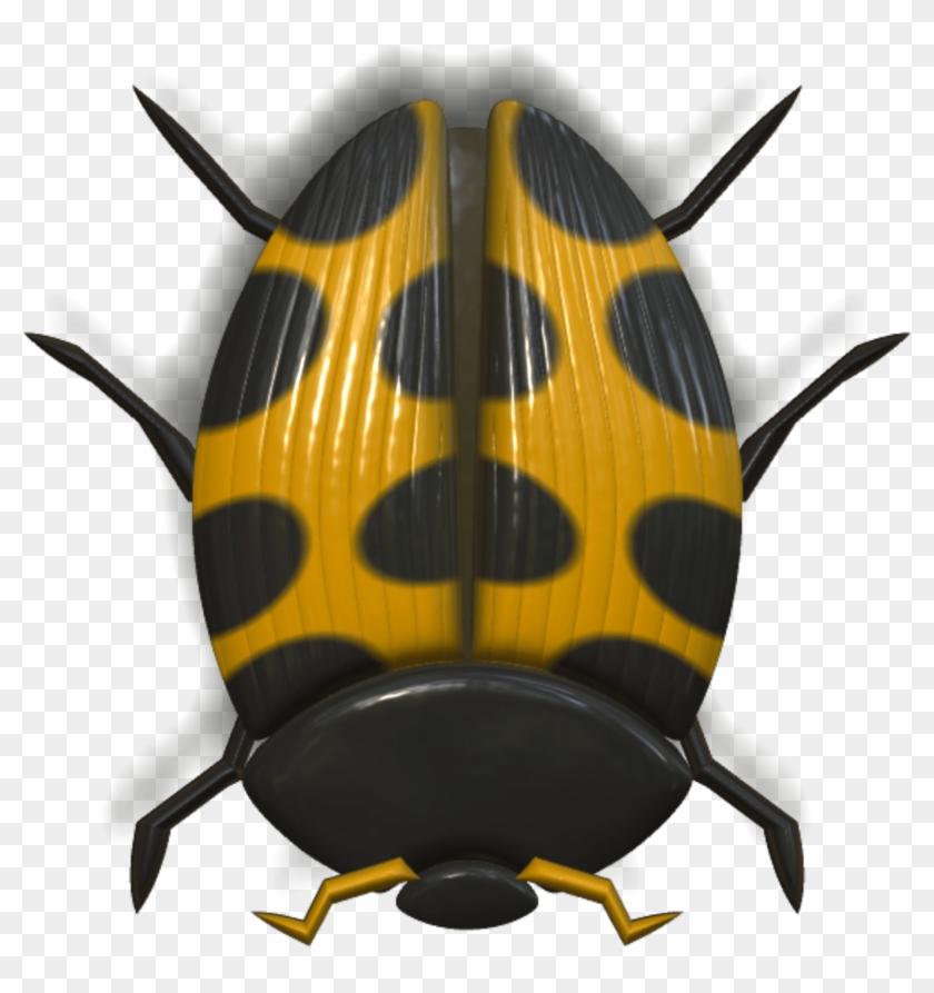 Download Ladybug Orange And Black Transparent Png - Honeybee Clipart #4794493