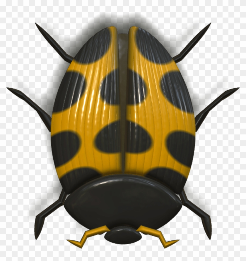 Download Ladybug Orange And Black Transparent Png - Honeybee Clipart